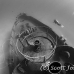 wreck_kittiwake_gc_h_0233_cay3657_bw.jpg